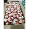 Bánh In Nguyệt 500gr - Giảm giá sốc 70.000₫, vị thơm ngon, mềm dẻo, giá chỉ 70k