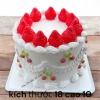 Bánh kem giả trưng bày 20x8cm - Đẹp sinh nhật - Chụp hình - Giá 75.000đ