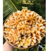 Bánh khóm hoa mai nhà làm hộp 500g - Quà Tết sang trọng, giảm giá 105.000 VND