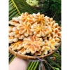 Bánh khóm hoa mai nhà làm hộp 500g - Quà Tết sang trọng, giảm giá 105.000 VND 4