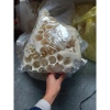 Bánh Lễ vụn, riềm Bánh Lễ không đường - Giá chỉ 50.000 VNĐ, giảm 11.500