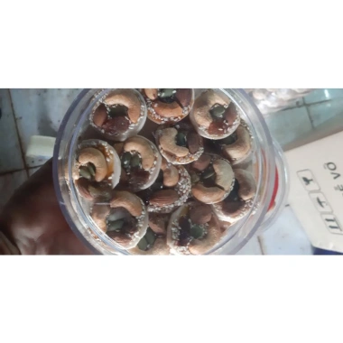 Bánh Mix hạt Điều, hạt Nhân, bí xanh - Giảm giá 100k, snack giòn thơm, ăn liền 3