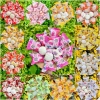 Bánh Mochi 500g Phủ Dừa Kem Lạnh Mix Vị - Giảm Giá 20% Giá Chỉ 56.000₫ 3