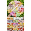 Bánh Mochi 500g Phủ Dừa Kem Lạnh Mix Vị - Giảm Giá 20% Giá Chỉ 56.000₫ 9