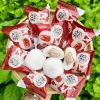 Bánh Mochi Kem Sữa Sầu Riêng, Socola, Khoai Môn, Bơ Xanh - Phủ Dừa, Giá 58.000₫ 4