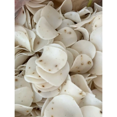 Bánh Phồng Tôm Trắng Sa Đéc – Giòn Xốp, Thơm Ngon, Giá 33.000 VNĐ