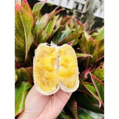 Bánh Pía 250g 4 chiếc - Vị sầu riêng, đậu xanh, mỡ hành - Gói giấy xưa - 39.000đ