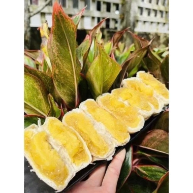Bánh Pía 250g 4 chiếc - Vị sầu riêng, đậu xanh, mỡ hành - Gói giấy xưa - 39.000đ 6 Bánh Pía 250g 4 chiếc - Vị sầu riêng, đậu xanh, mỡ hành - Gói giấy xưa - 39.000đ 6