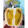 Bánh pía Đậu mỡ hành Thành Hương không trứng - Giảm giá 65k, vị ngon giòn tan