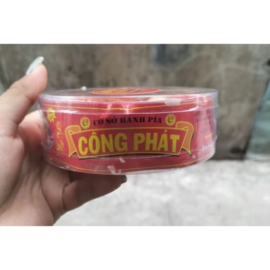 Bánh Pía Đậu Xanh Sầu Riêng Mini 10 Cái Công Phát - Chỉ 40.000 (Hạn 15 ngày)