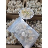 Bánh pía nhân dừa sầu riêng Tân Dân Lợi - Giá chỉ 55.000đ, giảm từ 66.000đ, thơm ngon, giòn tan 3