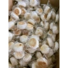 Bánh Pía Tân Dân Lợi 400g Đậu Xanh Dừa Khóm Gà Quay - Giảm giá, chỉ 55.000 VND 2