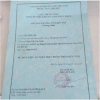 Bánh Pía Tân Dân Lợi Nhuận Dứa Non Sầu Riêng Giảm Giá 60.000 VND Ngon Dinh Dưỡng 6