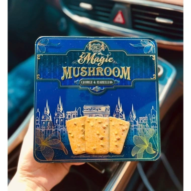 Bánh quy dừa nướng Mushroom hộp thiếc cao cấp 170g 3 màu xanh đỏ vàng - Quà Tết sang trọng, giảm giá 146k