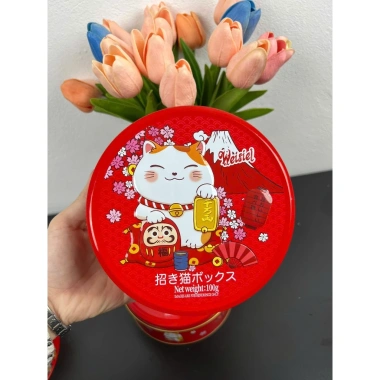 Bánh Quy Hộp Thiếc Mèo Chiêu Tài Bạch Nhài Phú Quý 100g - Giá chỉ 45.000₫ 4