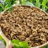 Bánh Tai Heo Nhí Giòn Béo Ít Đường - Đặc Sản Xứ Dừa Bến Tre, Giá 49,000 VND 3