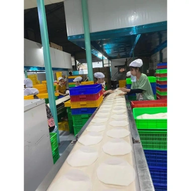 Bánh Tráng Đậu Xanh Bò Bía Cuốn Chả Giò 20-30 Lá Gói Loại 1 Size 16 Giá 7.400đ 9