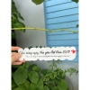 Banner Tag Chúc Mừng 8/3, 20/10, 20/11 và Ngày Nhà Giáo - 20 chiếc, chỉ 23.000₫ 5