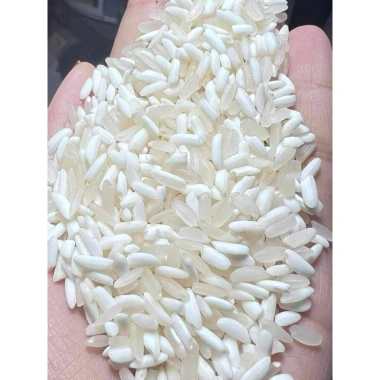 Bao 5kg Gạo nếp nương Điện Biên – Đặc sản số 1, thơm ngon, giá ưu đãi 260.000₫ 4 Bao 5kg Gạo nếp nương Điện Biên – Đặc sản số 1, thơm ngon, giá ưu đãi 260.000₫ 4