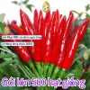 Bao bì gốc 500 hạt nhập khẩu - Hạt giống ớt chỉ thiên siêu cay, siêu trái K035 29.000đ