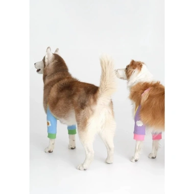 Bao đầu gối chó ngăn liếm sau mổ, hỗ trợ khớp, thoáng khí 6-45kg - Giá giảm 256.149 VND 2