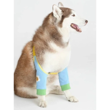 Bao đầu gối chó ngăn liếm sau mổ, hỗ trợ khớp, thoáng khí 6-45kg - Giá giảm 256.149 VND 4