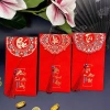 Bao Lì Xì Đỏ Tua Rua Kim Tuyến Lấp Lánh Phù Hợp Tết, Cưới, Mừng Thọ 8.410 VND 5