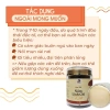 Bào Tử Nấm Linh Chi Đỏ 50-100gr - Tăng Cường Miễn Dịch, Giảm Giá 650k Nấm Xanh 6