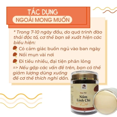 Bào Tử Nấm Linh Chi Đỏ 50-100gr - Tăng Cường Miễn Dịch, Giảm Giá 650k Nấm Xanh 6 Bào Tử Nấm Linh Chi Đỏ 50-100gr - Tăng Cường Miễn Dịch, Giảm Giá 650k Nấm Xanh 6