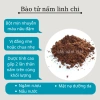 Bào tử nấm linh chi đỏ 99,9% 100g - Tăng sức đề kháng, giảm mệt mỏi, giá chỉ 230.000 VND 2