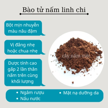 Bào tử nấm linh chi đỏ 99,9% 100g - Tăng sức đề kháng, giảm mệt mỏi, giá chỉ 230.000 VND