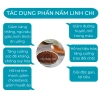 Bào tử nấm linh chi đỏ 99,9% 100g - Tăng sức đề kháng, giảm mệt mỏi, giá chỉ 230.000 VND 8