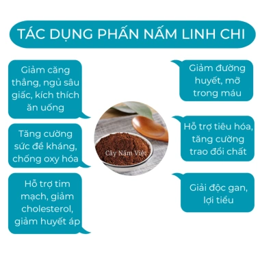 Bào tử nấm linh chi đỏ 99,9% 100g - Tăng sức đề kháng, giảm mệt mỏi, giá chỉ 230.000 VND