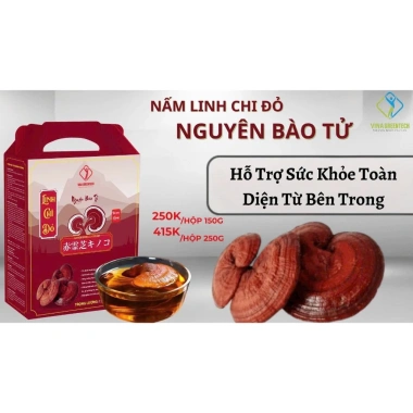 Bào tử nấm linh chi đỏ: Bồi bổ, ổn định huyết áp, lưu thông máu, chỉ 250.000đ 2