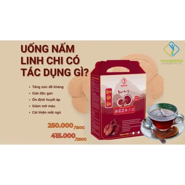 Bào tử nấm linh chi đỏ: Bồi bổ, ổn định huyết áp, lưu thông máu, chỉ 250.000đ 4
