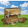 Bát ăn tự động mica cho Gà Rutin, hamster - Giá ưu đãi 150.000đ, chất liệu bền, tiện lợi