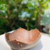 Bát dừa & Đĩa dừa hoa sen - Đồ dùng ăn vặt, hạt khô, mứt, chè, salad, giảm giá còn 15.000₫ 4