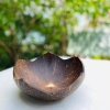 Bát dừa & Đĩa dừa hoa sen - Đồ dùng ăn vặt, hạt khô, mứt, chè, salad, giảm giá còn 15.000₫ 5
