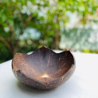 Bát dừa & Đĩa dừa hoa sen - Đồ dùng ăn vặt, hạt khô, mứt, chè, salad, giảm giá còn 15.000₫ 5