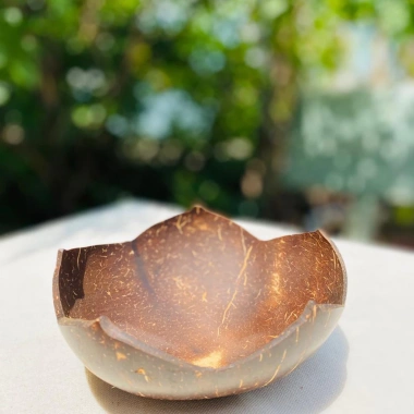 Bát dừa & Đĩa dừa hoa sen - Đồ dùng ăn vặt, hạt khô, mứt, chè, salad, giảm giá còn 15.000₫ 7