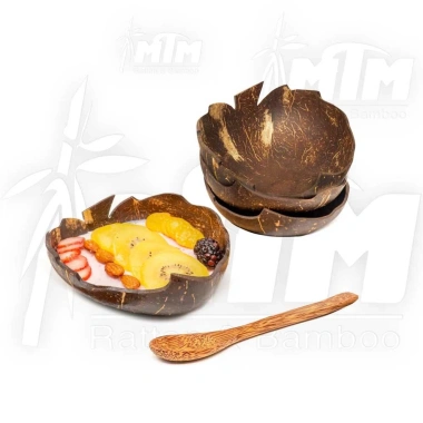 Bát dừa lá Đĩa dừa - Đựng ăn vặt, hạt khô, mứt, chè, salad, giá chỉ 25.000đ