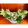 Bát Đựng Gà Thắp Hương Sứ Cao Cấp Bát Tràng Men Trắng Loại 1 Giá ưu đãi 44.000₫ 3