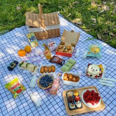 Bạt Picnic 2x2m Chống Thấm Họa Tiết Caro - Gấp Gọn, Giá Ưu Đãi 76.500₫