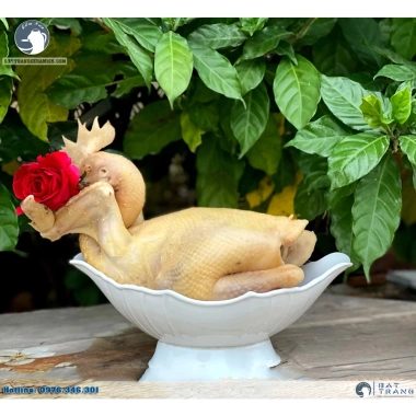 Bát Thuyền Động Gà Nguyên Con - Hoa Quả Nhựa PCC Trắng Cao Cấp Giá 45.000