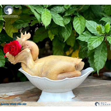 Bát thuyền động gà nguyên con, hoa quả trắng dày cao cấp - Giá chỉ 35.840 VND, giảm mạnh