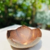 Bát và Đĩa Gáo Dừa Tự Nhiên 19k - Đựng Ngũ Cốc, Chè, Bánh Kẹo, Mứt Tết - Giá Gốc 24.7k
