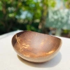 Bát và Đĩa Gáo Dừa Tự Nhiên 19k - Đựng Ngũ Cốc, Chè, Bánh Kẹo, Mứt Tết - Giá Gốc 24.7k 4