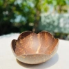 Bát và Đĩa Gáo Dừa Tự Nhiên 19k - Đựng Ngũ Cốc, Chè, Bánh Kẹo, Mứt Tết - Giá Gốc 24.7k 7