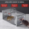 Bẫy Chuột Thông Minh Thép Chắc Chắn - Lồng Bắt Chuột Tái Sử Dụng, Giá Chỉ 31.900 VND