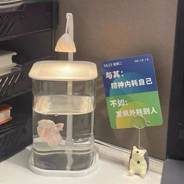 Bể Cá Betta Đèn LED Thủy Tinh - Trang Trí Phòng Ngủ và Phòng Khách, Giá 190k 6